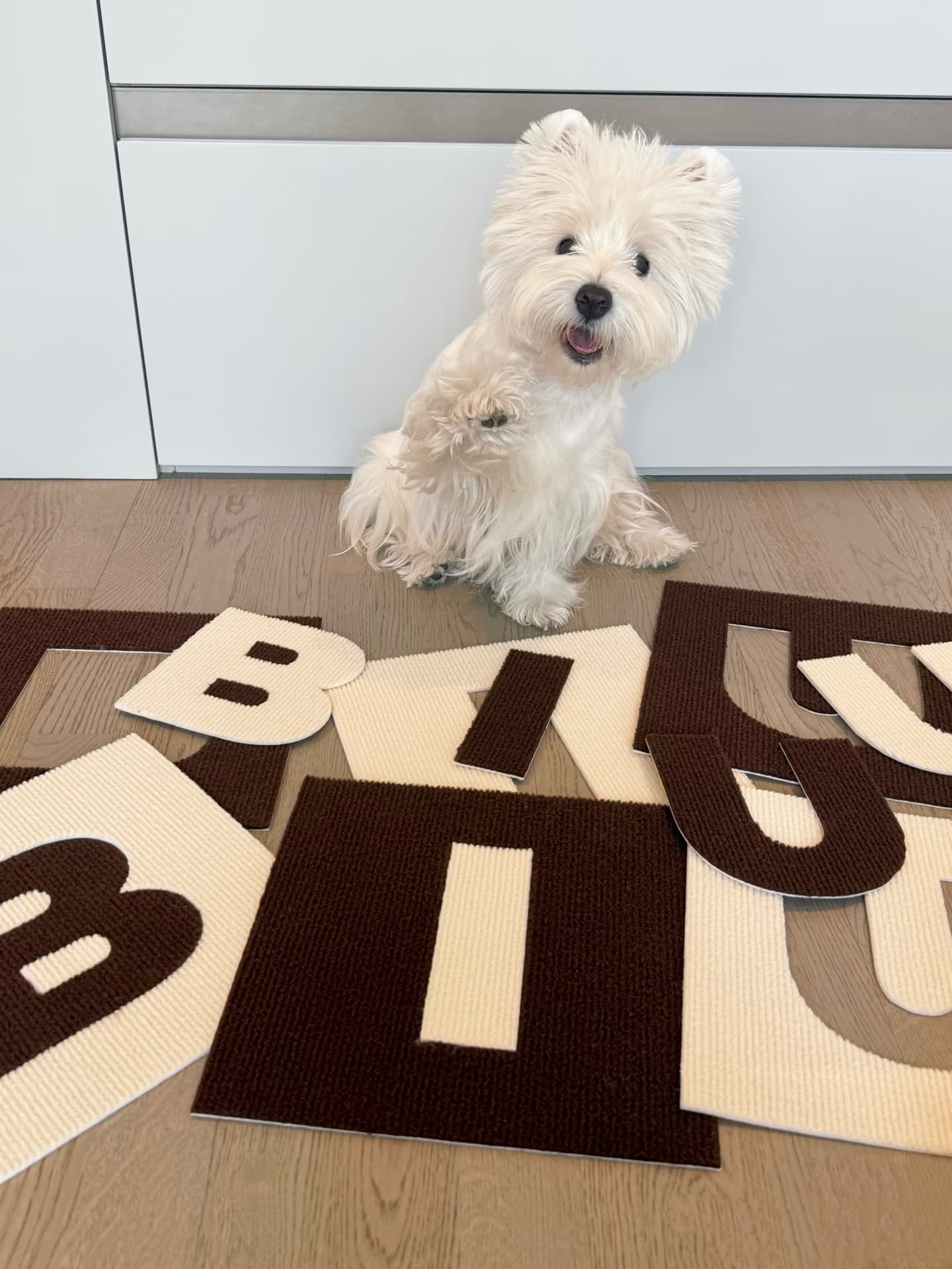 BiuBiu