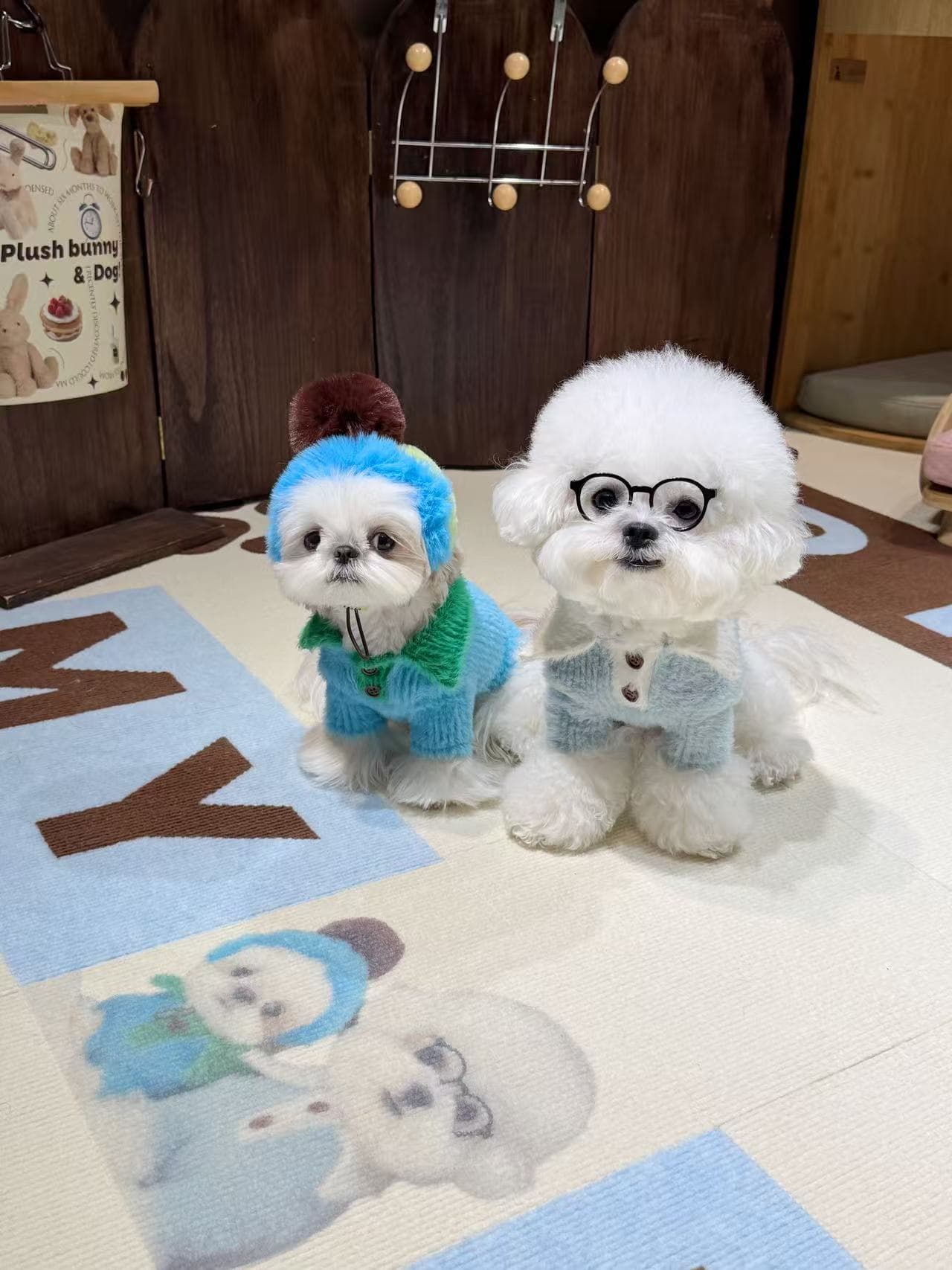 派哥&大头妹