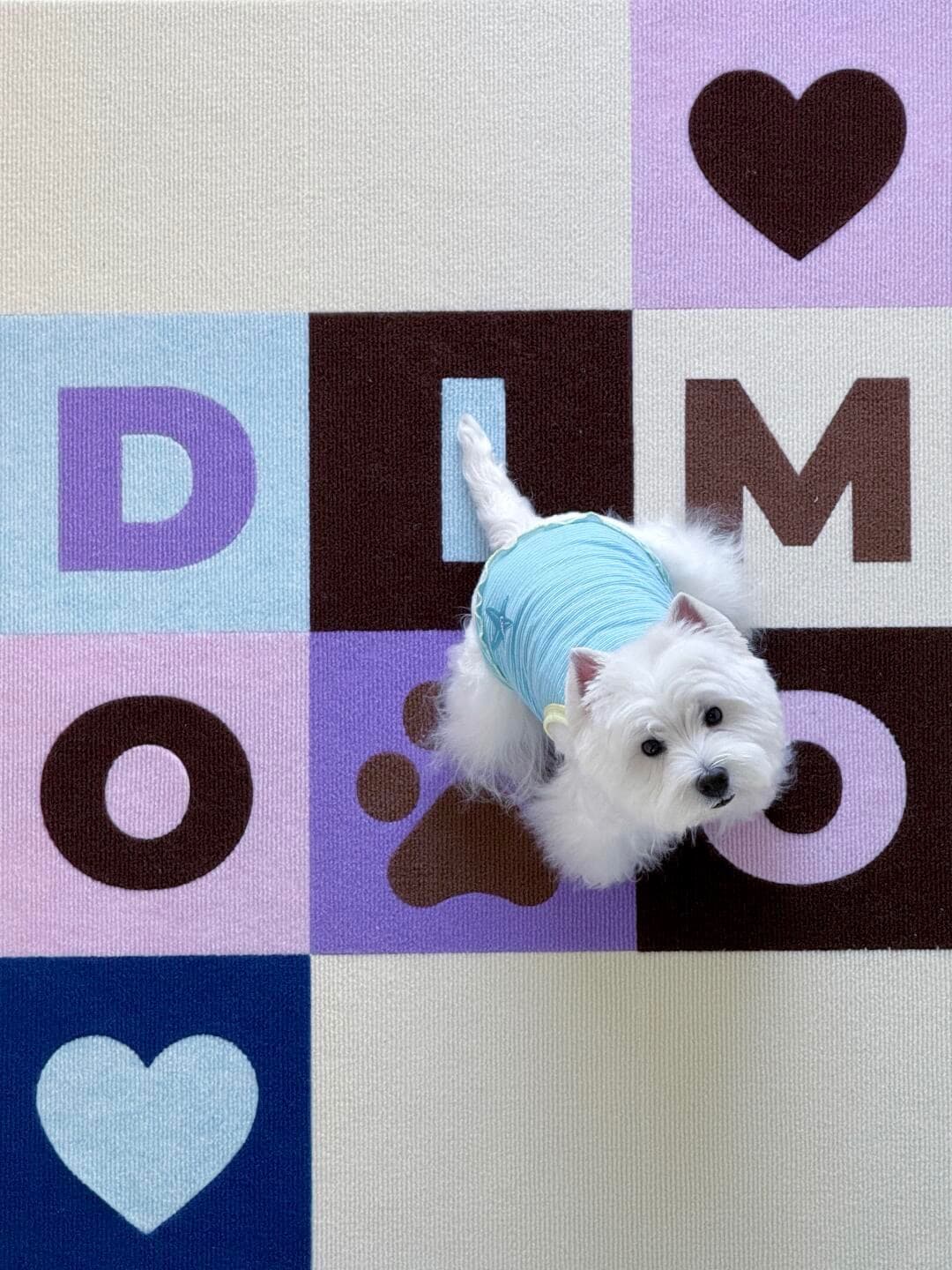 Dimoo